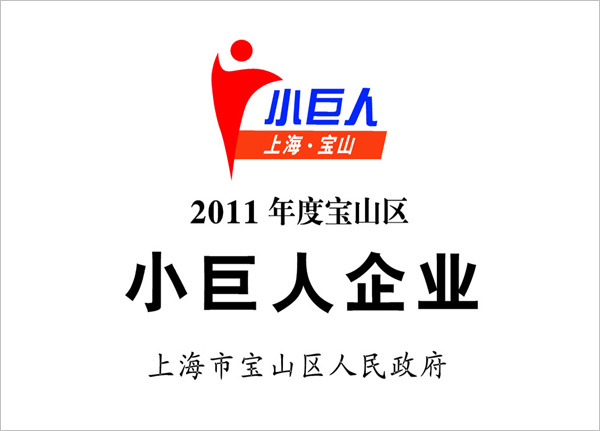 寶靈超亞被評為“2011年度寶山區(qū)小巨人企業(yè)”
